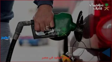 نفي رسمي.. رئيس الوزراء المصري يؤكد استقرار أسعار الوقود حتى الإعلان الجديد